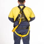 Safety Harness with Lanyard